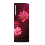 Haier 185 Litres, Direct Cool Refrigerator (HRD2062PRP-N)
