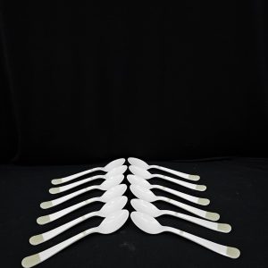 Tea Spoon (12 Pieces)