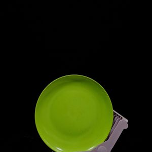 Rice Plate 10 Inches