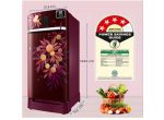 Samsung 215 Litres Single Door Refrigerator, 5 Star Inverter, Direct-Cool (Midnight Blossom Red)(2023 Model)(RR23C2H35RZ/HL) - Image 5