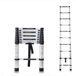 Telescopic Ladder, 10 Steps Foldable Ladder, Lightweight, Collapsible, Max Load up to 150 Kgs, 2.9 Meters, 9.5 ft