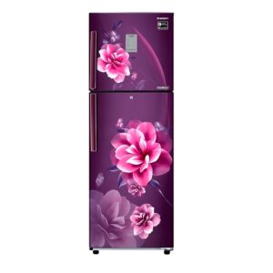 Samsung 253 Litres Double Door Refrigerator, 2 Star Rated (RT28B3122CR/HL)