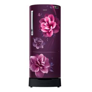 Samsung 223 Litres Single Door Refrigerator, 3 Star Inverter Direct-Cool  (RR24C2823CR/NL)(2023 Model)