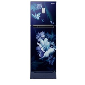 SAMSUNG 244 Liters Double Door Refrigerator, Frost Free 2 Star Rated (Midnight Blossom Blue)(RT28B3C22UZ/HL)