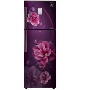 Samsung 253 Liters Double Door Refrigerator, 2 Star Rated Frost Free (Camellia Purple) (RT28T3932CR/HL)