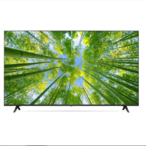 LG 4K Ultra HD Smart LED TV (65Inches, 164cm)(Grey)(2022 Model)(65UQ8040PSB)