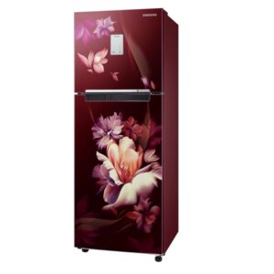 SAMSUNG 244 Litres Double Door Refrigerator 2 Star Rated With Frost Free (Midnight Blossom Red)(RT28B3522RZ/HL)