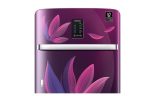 Samsung 189 Litres Single Door Refrigerator, 5 Star Rated Inverter Direct-Cool with Digi-Touch (Paradise Bloom Purple) (2023 Model) (RR21C2F259R-HL) - Image 3