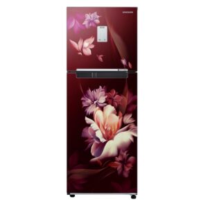 SAMSUNG 244 Litres Double Door Refrigerator, 2 Star Rated Frost Free (Midnight Blossom Red) (RT28B3522RZ/HL)