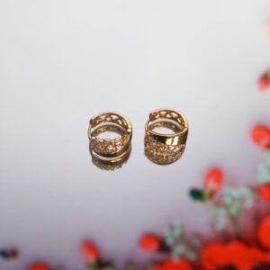 Titanium Round Gold Earring