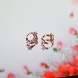 Titanium Gold Earrings