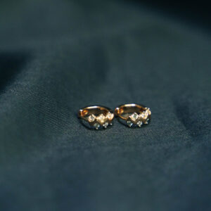 Titanium Round Earrings Gold