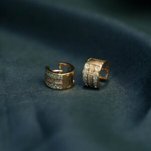 Round Titanium Gold Earring