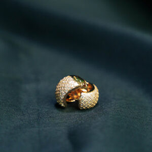 Round Titanium Gold Earring
