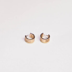 Titanium Gold  Earring