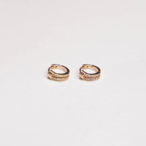 Titanium Gold Earring