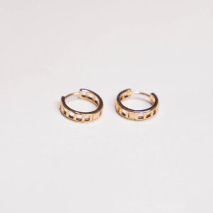 Titanium Gold Earring