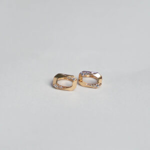 Titanium Gold Earring