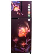 PANASONIC Refrigerator, 260 LITER, 3 STAR Harnel Wine (NR-TH272CDRN)