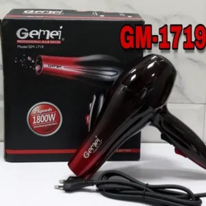 Gemei Hair Dryer (Black), Professional Hair Dryer (GM-1719)