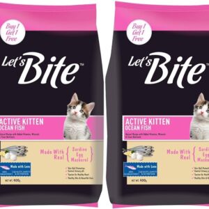 Letsbite Cat- Active Kitten