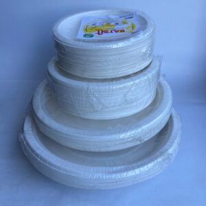Bagasse Plate