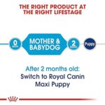 Royal Canin Maxi Starter-1kg - Image 2