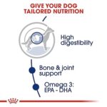 Royal Canin Adult-1kg - Image 6