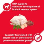 Drools Chicken and Egg Puppy Dry Dog Food-400g - Image 2