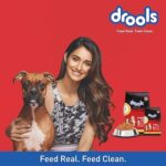 Drools Chicken and Egg Puppy Dry Dog Food-400g - Image 5