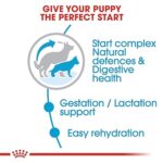 Royal Canin Maxi Starter-1kg - Image 4