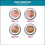 Meo-Adult Cat Food-3kg - Image 4