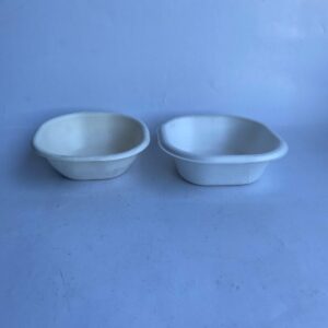 Bagasse Square Bowl (50pcs)