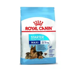 Royal Canin Maxi Starter-1kg