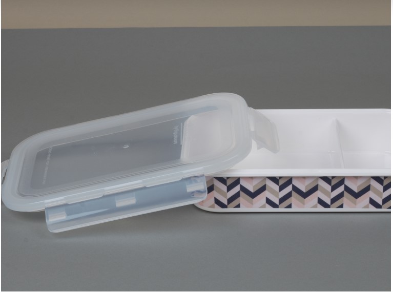 Lunch Box with Divider Rich Geometry – Online Mizoram