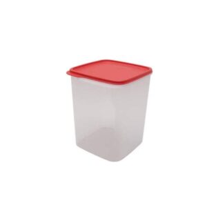 Smart Storer Storage Container, 5.4 L(Set of 2)