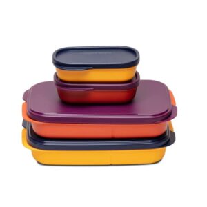 Tupperware Tiffin Box