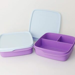 Kids Divided Lunch Box 1L