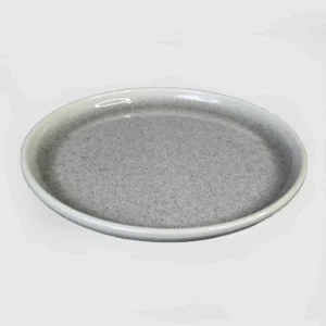 Dome Buffet Server Plate ( Medium )