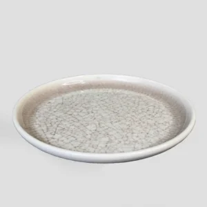Dome Buffet Plate ( Large )