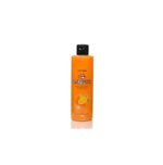ALL4PETS Natural Orange Dogs & Cats Shampoo 200ml