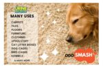 ROBUST Odosmash | Urine Destroyer | Pet Stain and Odor Remover | Natural Bio-Enzymatic Formula 250 ml - Image 4