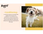 ROBUST Refreshing Vegan Conditioning Shampoo (400ML) for Dogs & Cats with Natural Ingredients Like Lemon & Orange Oil - Image 4