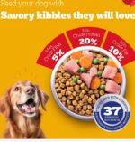 Pedigree Chicken & Vegetables Adult Dry Dog Food - Image 3