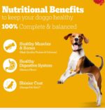 Pedigree Chicken & Vegetables Adult Dry Dog Food - Image 4