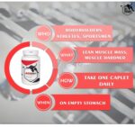 BULLPHARM Androbol - Muscle Building Supplement for Men - Image 4