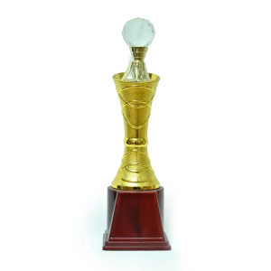 11 Inches Trophy
