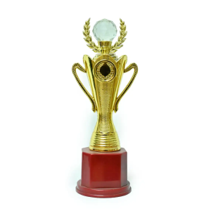 11 Inch Trophy