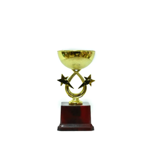Trophy 6 Inch