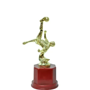 Football Bicycle Kick Trophy
